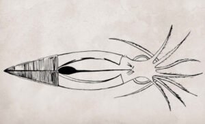 Drawing Squid Ink